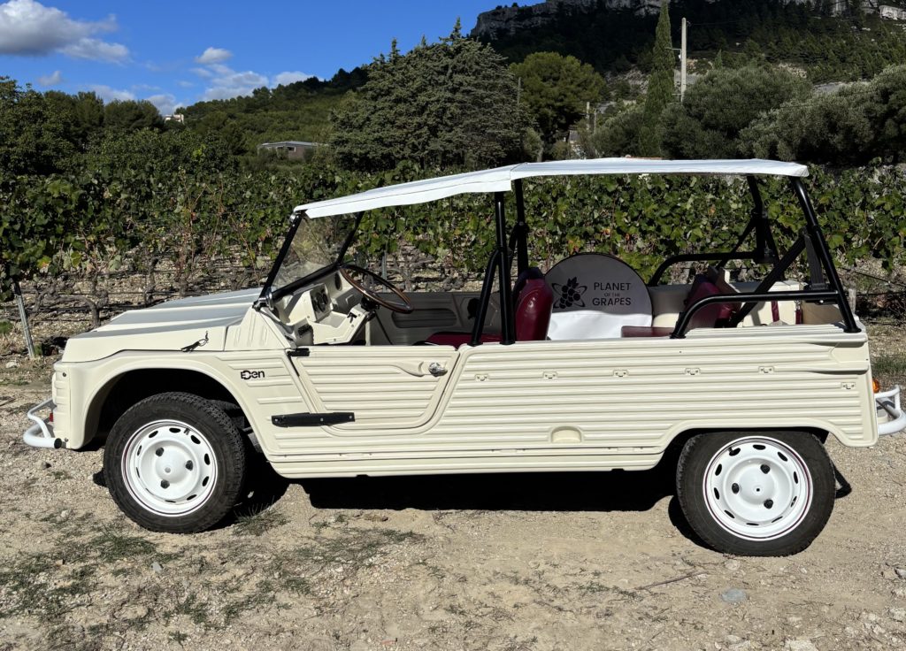 Photo 24-09-2025 16 50 11